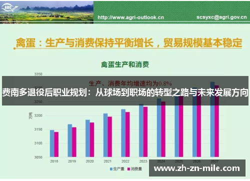 费南多退役后职业规划：从球场到职场的转型之路与未来发展方向