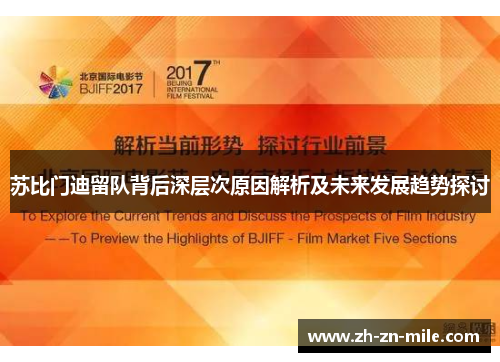 苏比门迪留队背后深层次原因解析及未来发展趋势探讨