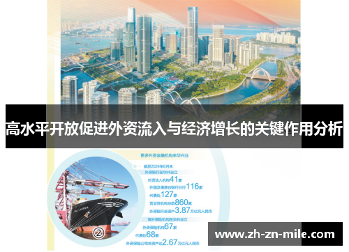 高水平开放促进外资流入与经济增长的关键作用分析