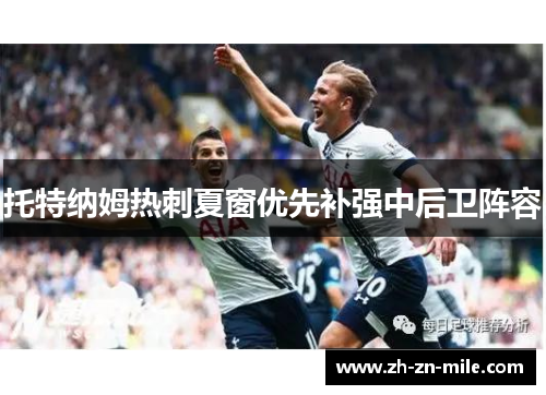 托特纳姆热刺夏窗优先补强中后卫阵容 托特纳姆热刺夏窗优先补强中后卫阵容